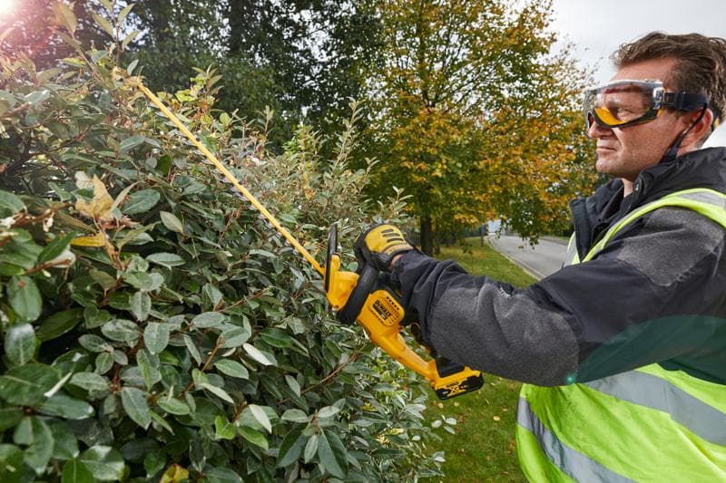 Person uses DEWALT DCM563PB hedge trimmer outdoors, trimming bushes near a street with autumn trees in background.