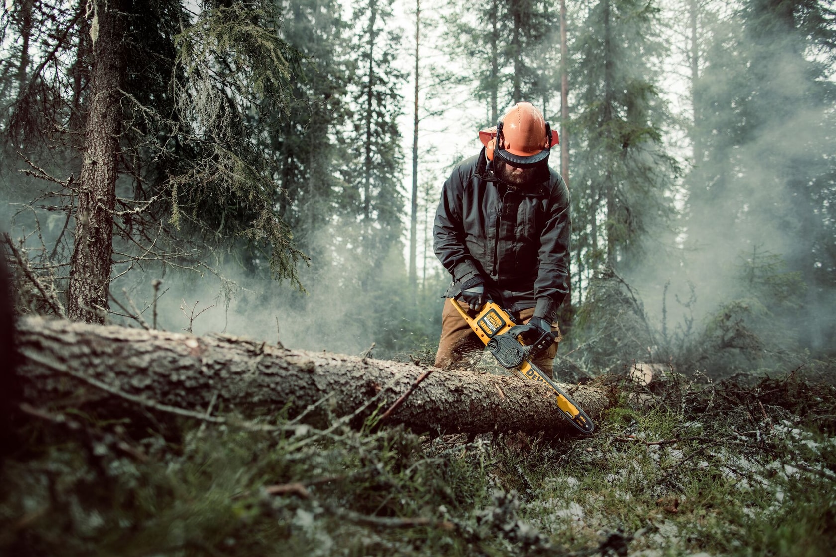 Person using a DEWALT chainsaw to cut a fallen tree in a misty forest. Protective gear is worn.